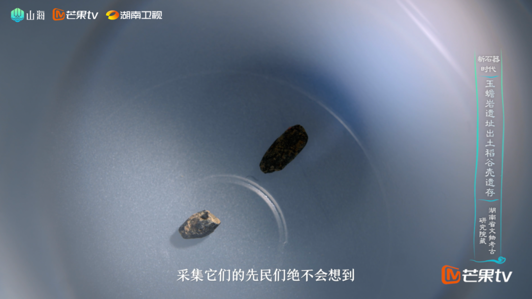 纪录片《因为长江》第六集“湖湘·润稻”篇播出：江湖共润，稻香万年