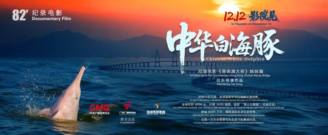 全球首部!六年磨一剑,珠海电影《中华白海豚》12日公映
