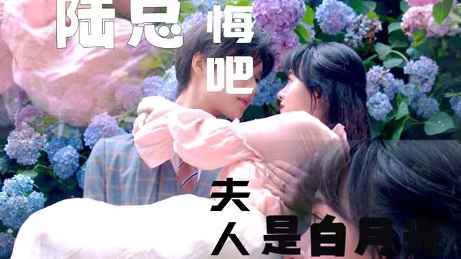 陆总忏悔吧夫人才是白月光